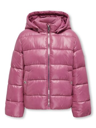 242615001 Red Violet