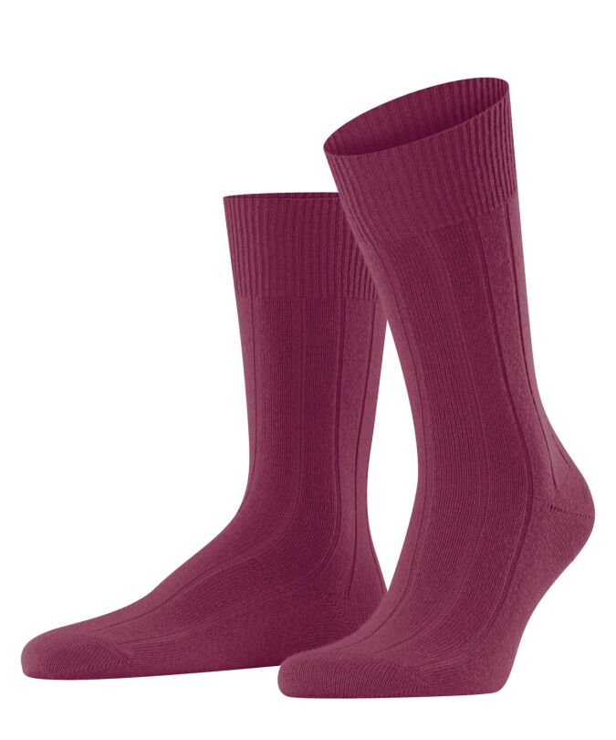 8236 red plum