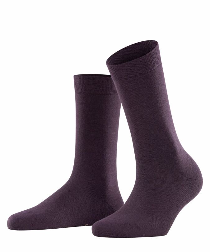 8136 violetonyx