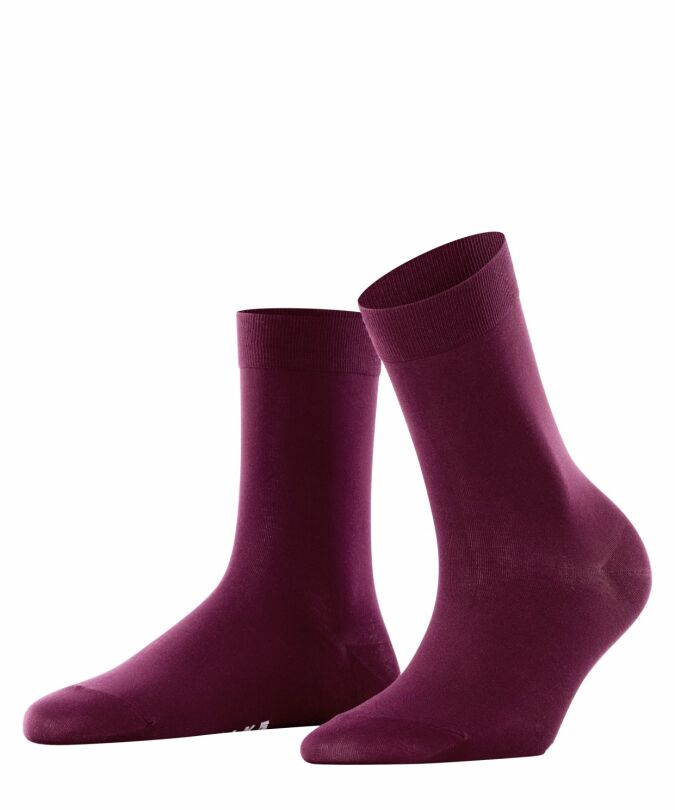 8596 barolo