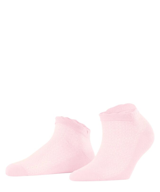 8902 powder rose