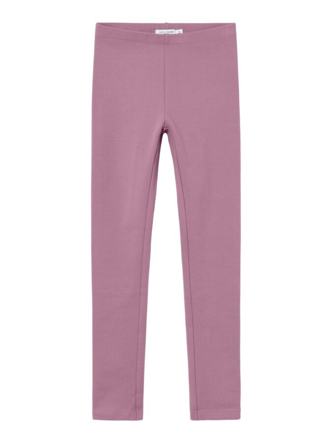 298779 Mauve Orchid