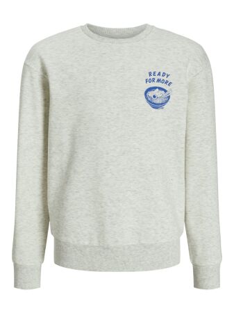 JJCHARGE PRINTED SWEAT CREW NECK JN