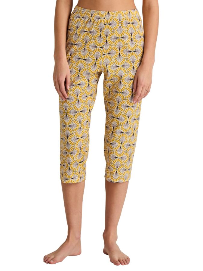 024 ray flower yello
