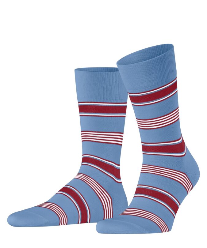 6554 cornflower blue