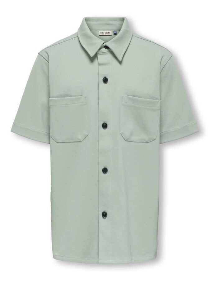 265495 Iceberg Green