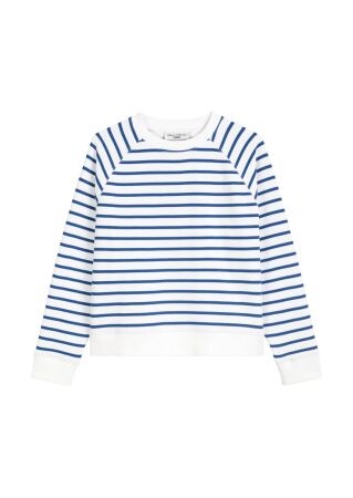 Sweatshirt, LSL, Raglan, YD