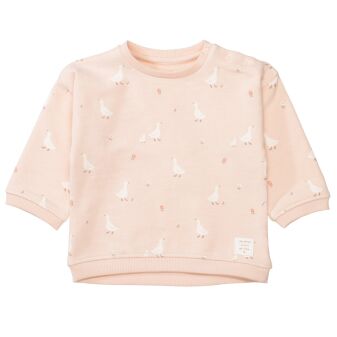 Md.-Sweatshirt