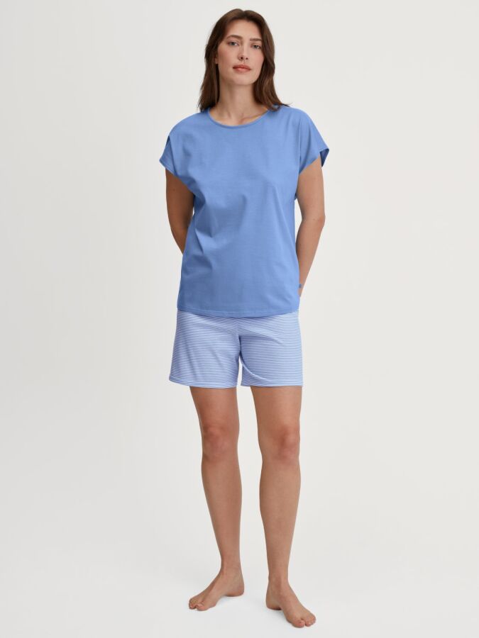 399 hydrangea blue