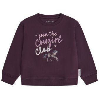 Md.-Sweatshirt