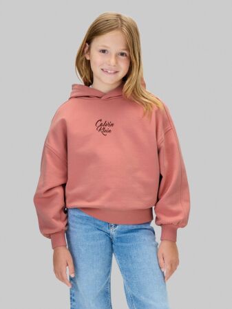 SCRIPT LOGO GRAPHIC TERRY HOODIE