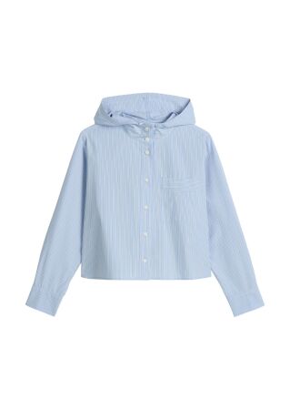 Woven Blouses, LSL, Y/D Stripes, Ho