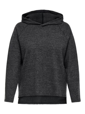 CARBIZZY L/S HOODIE JRS